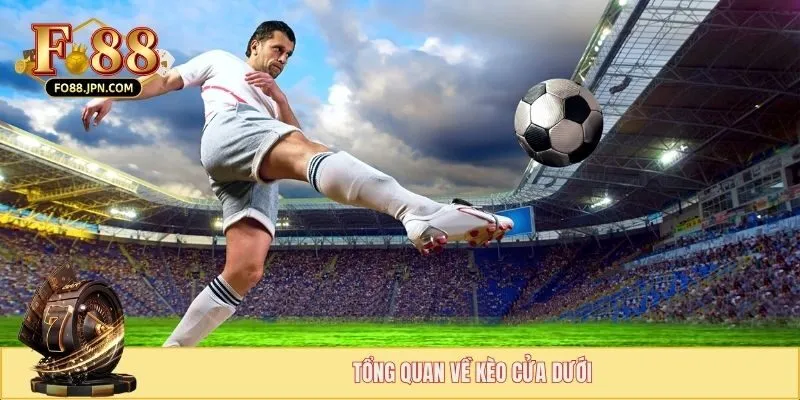Cách Bắt Kèo Cửa Dưới - Lợi Nhuận Bùng Nổ, Không Sợ Rủi Ro 2 Tổng quan về kèo cửa dưới